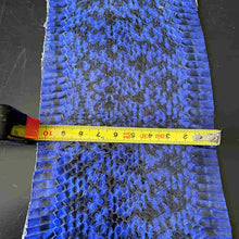 Load image into Gallery viewer, Blue Snakeskin