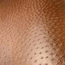 Load image into Gallery viewer, ostrich print leather