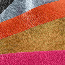 Load image into Gallery viewer, Dollaro Halfhides