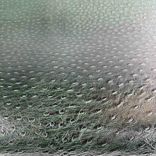 Load image into Gallery viewer, ostrich print leather