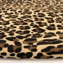Load image into Gallery viewer, Beige Leopard Print Ponyskin
