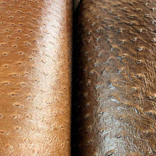 Load image into Gallery viewer, ostrich print leather