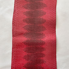 Load image into Gallery viewer, Red Snakeskins
