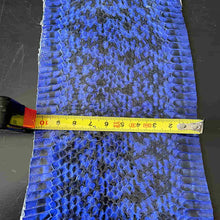 Load image into Gallery viewer, Blue Snakeskin
