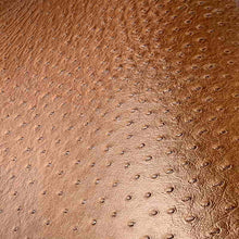 Load image into Gallery viewer, ostrich print leather
