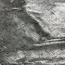 Load image into Gallery viewer, Silver Metallic Snake Print
